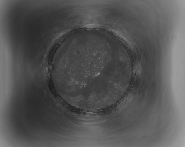 X0000101951398200807251125