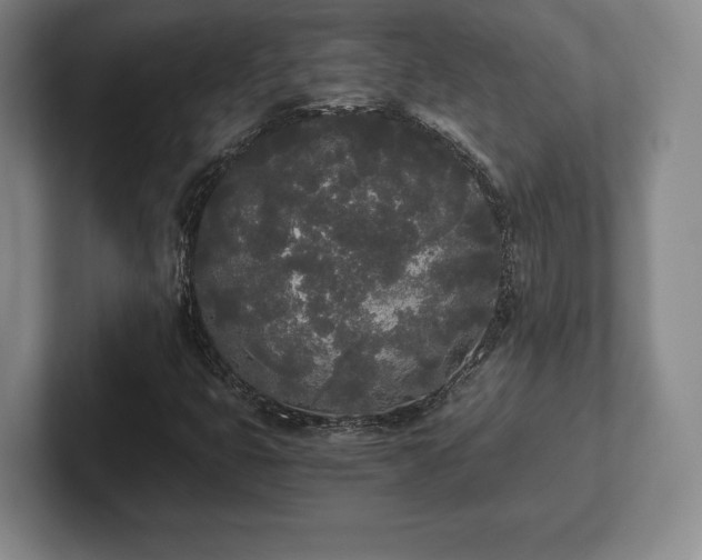 X0000101951399200807251125