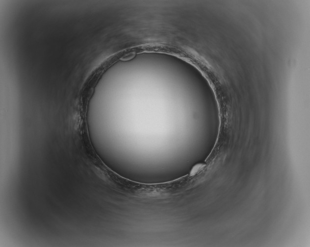 X0000101951400200807251125