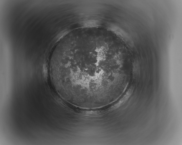 X0000101951401200807251125