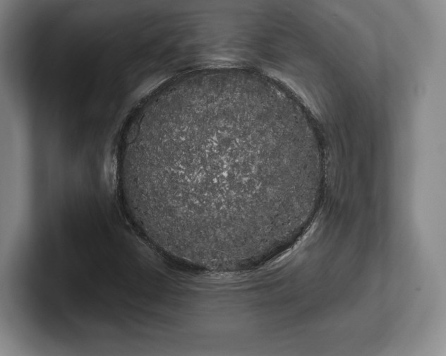 X0000101951402200807251125