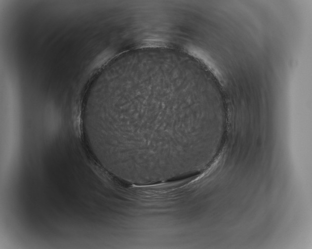 X0000101951403200807251125