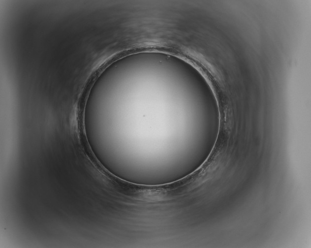 X0000101951404200807251125