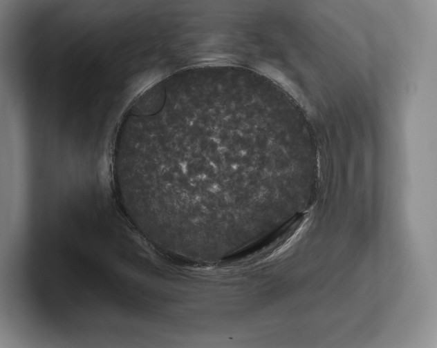 X0000101951405200807251125