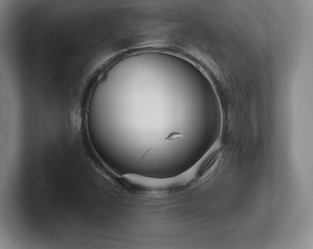 X0000101951406200807251125