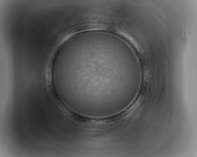 X0000101951407200807251125