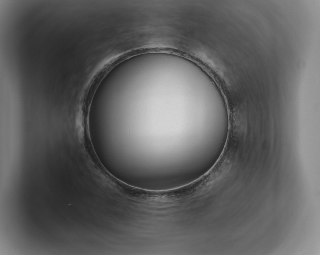 X0000101951408200807251125