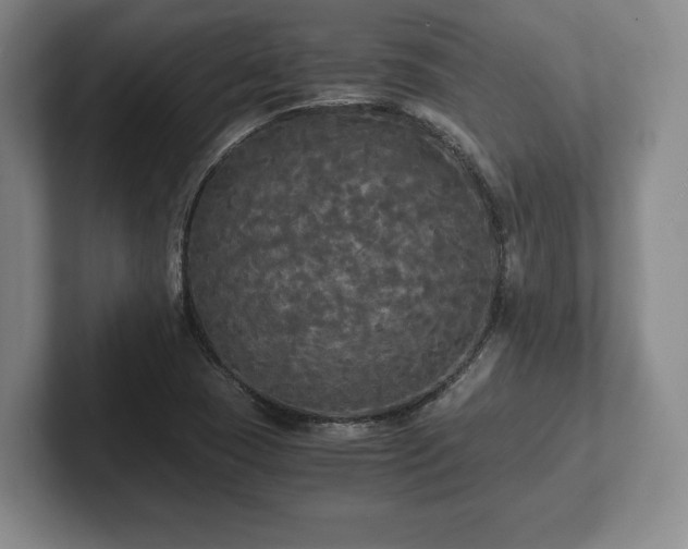 X0000101951409200807251125