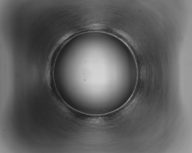 X0000101951410200807251125