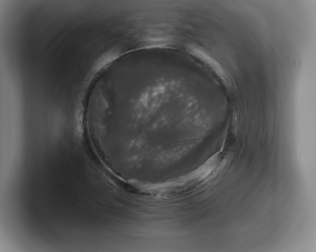 X0000101951411200807251125