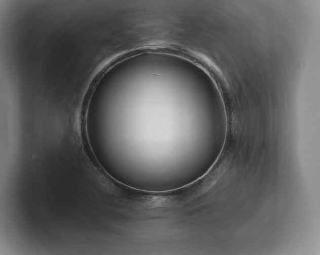 X0000101951412200807251125