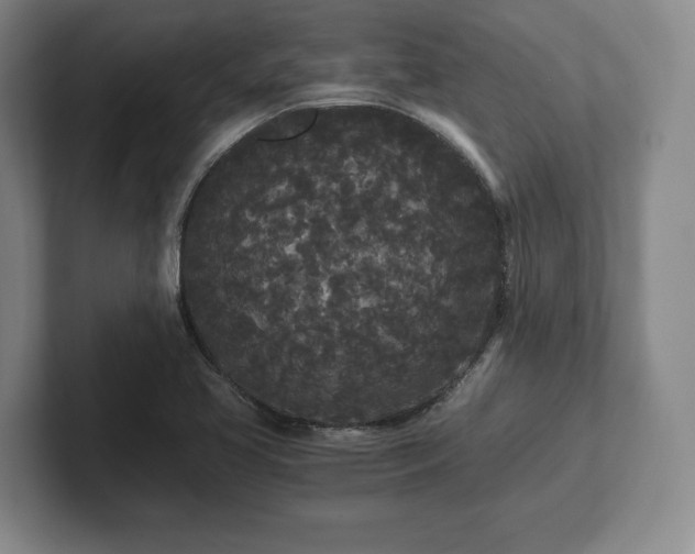 X0000101951413200807251125