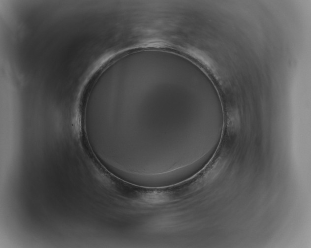 X0000101951414200807251125