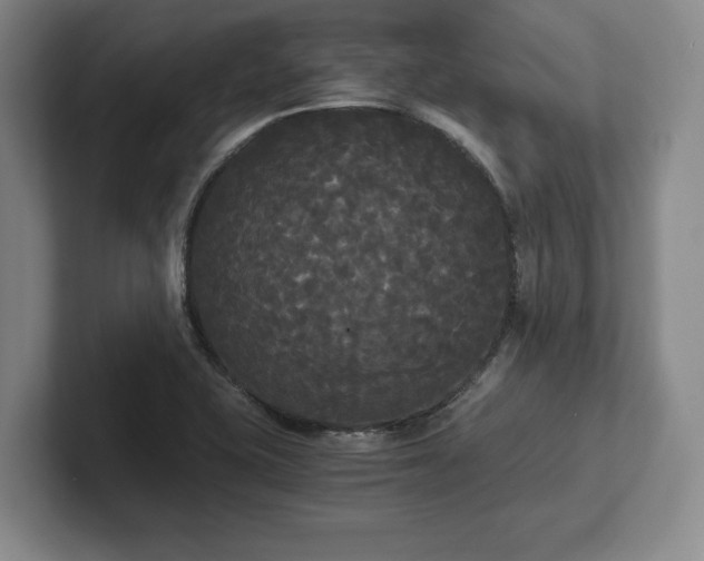 X0000101951415200807251125