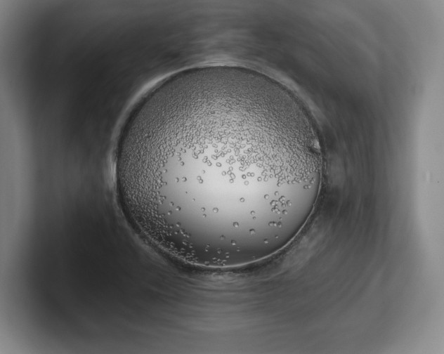 X0000101951416200807251125