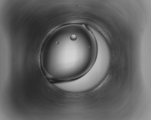 X0000101951417200807251125