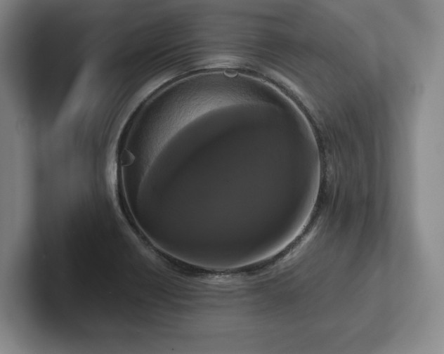 X0000101951418200807251125