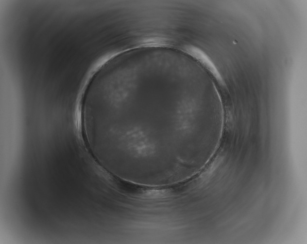 X0000101951419200807251125