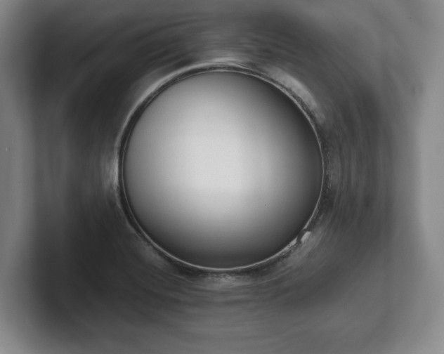 X0000101951420200807251125