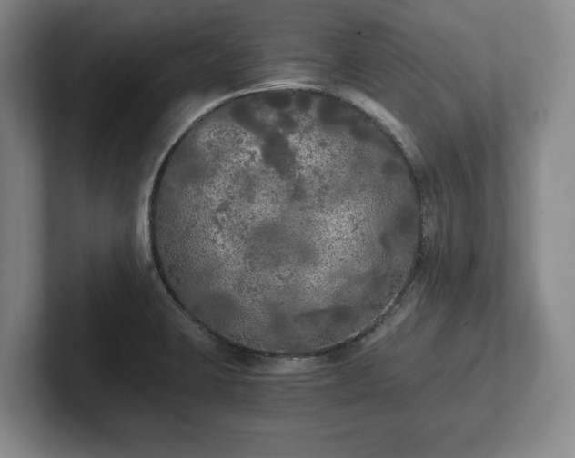 X0000101951423200807251125