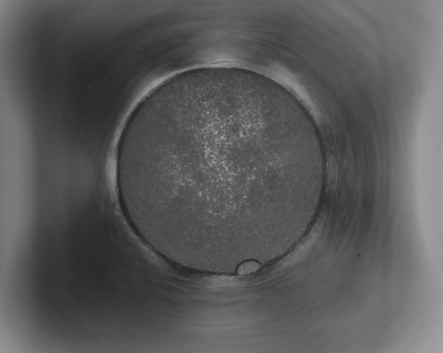 X0000101951424200807251125