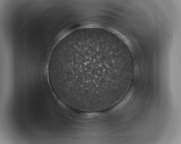 X0000101951425200807251125