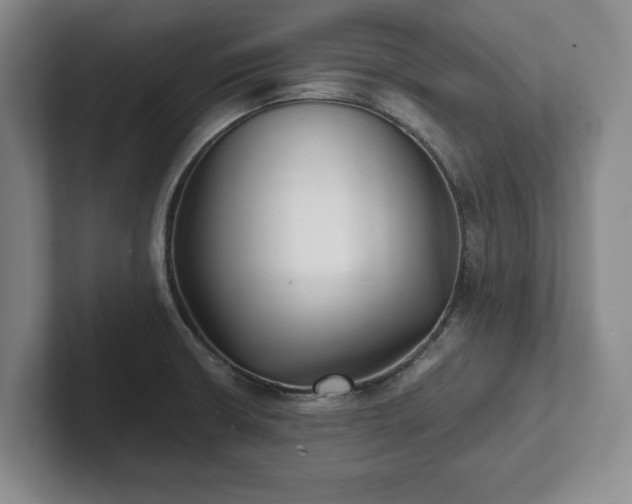 X0000101951426200807251125