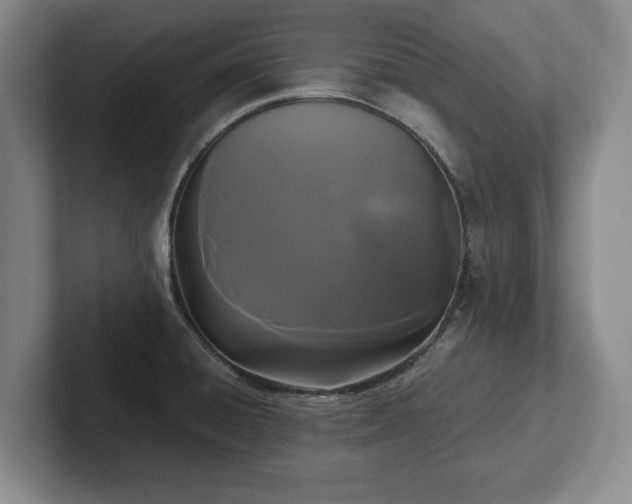 X0000101951428200807251125