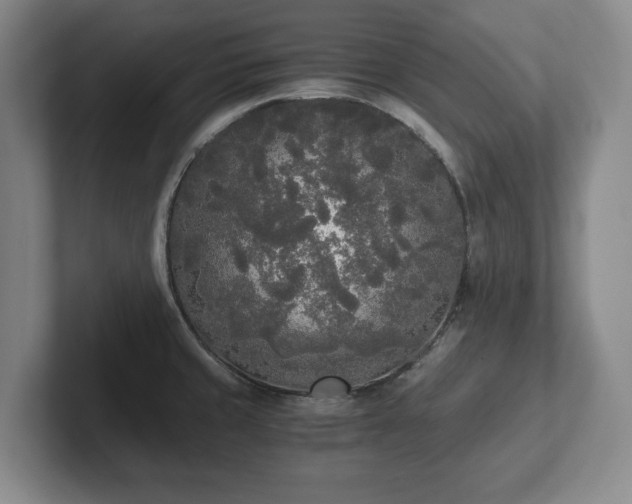 X0000101951429200807251125