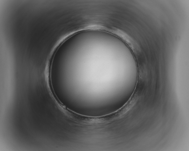 X0000101951430200807251125