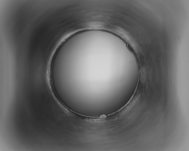 X0000101951432200807251125