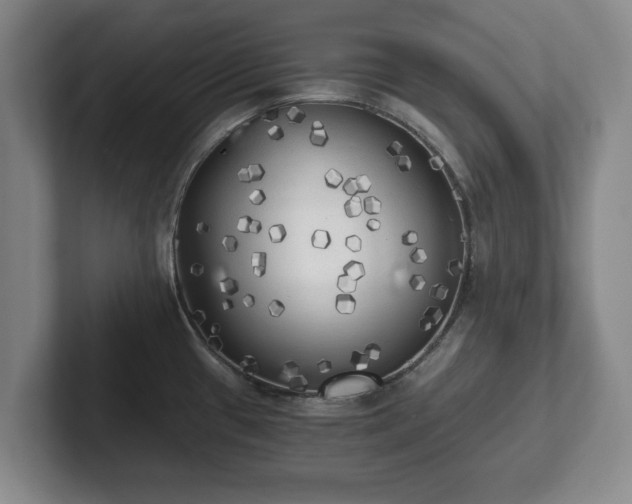 X0000101951433200807251125