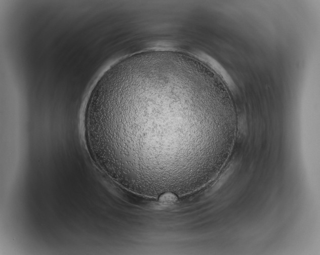 X0000101951435200807251125