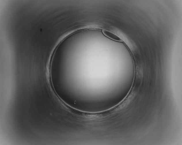 X0000101951436200807251125