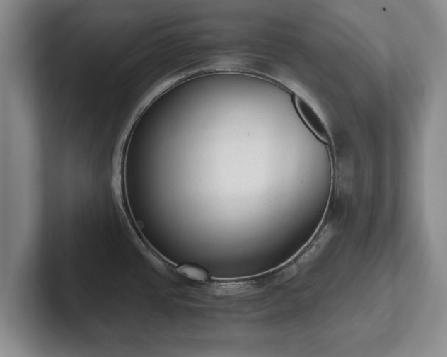 X0000101951437200807251125