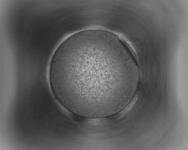 X0000101951438200807251125