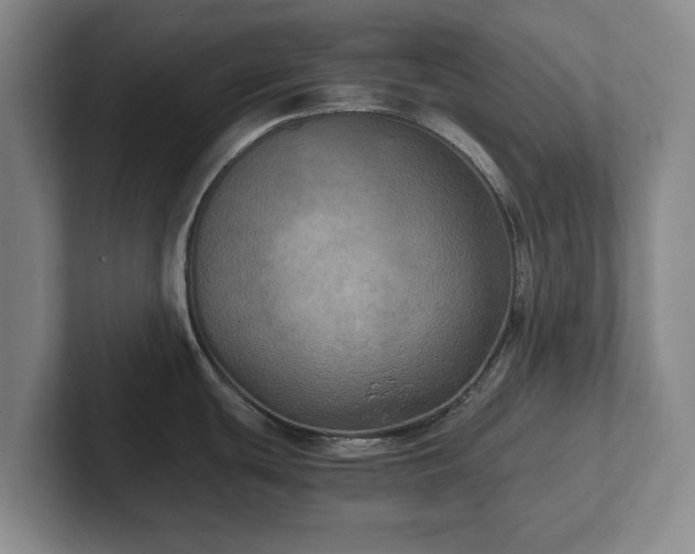 X0000101951439200807251125