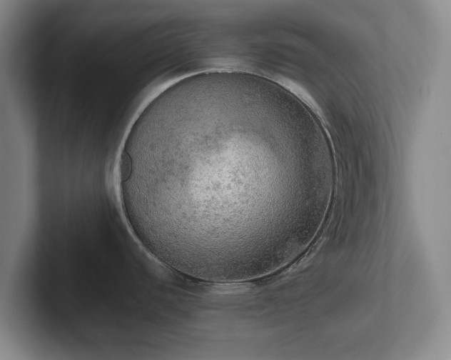 X0000101951440200807251125