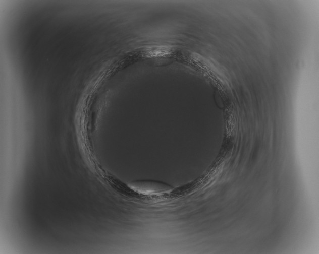 X0000101951441200807251125