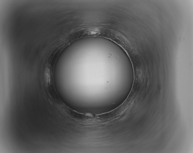 X0000101951442200807251125