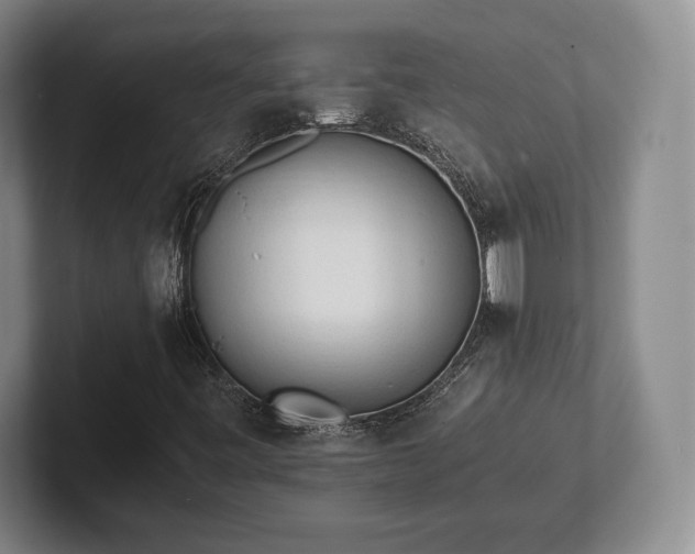 X0000101951443200807251125