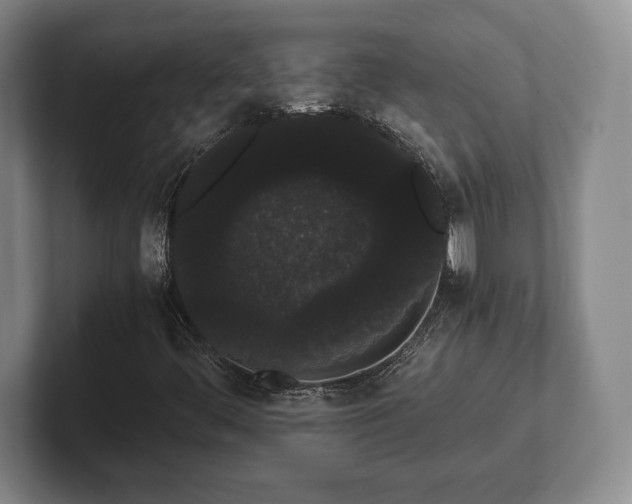 X0000101951444200807251125