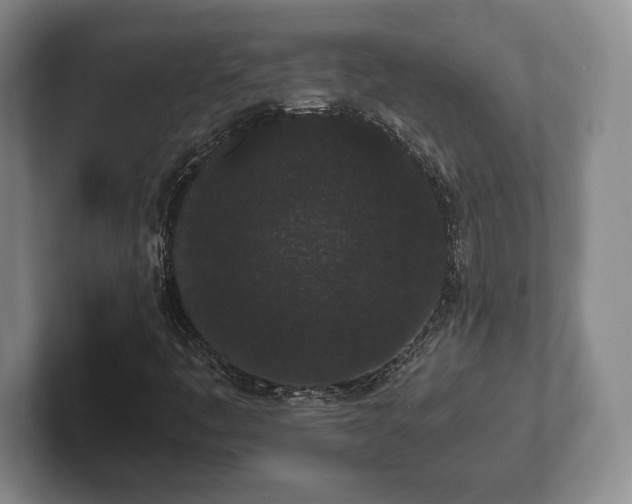 X0000101951445200807251125