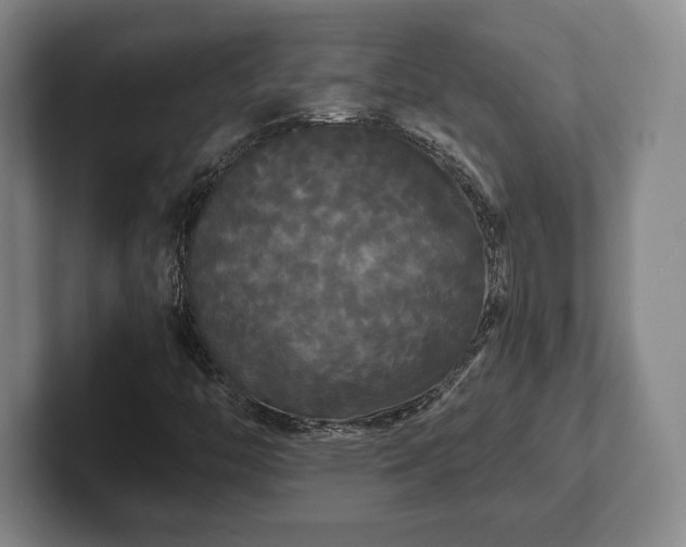 X0000101951446200807251125