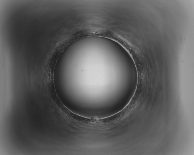 X0000101951447200807251125