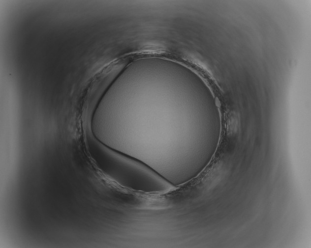 X0000101951448200807251125