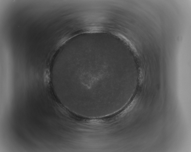 X0000101951449200807251125