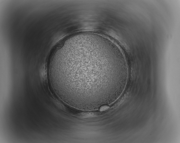 X0000101951450200807251125