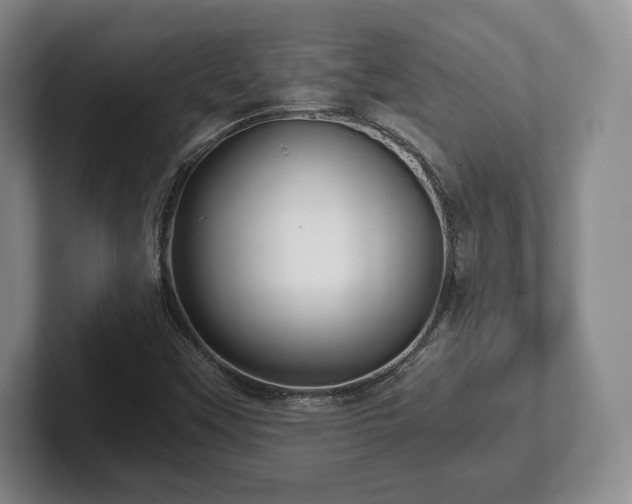 X0000101951451200807251125