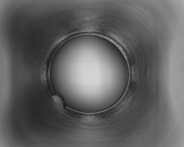 X0000101951452200807251125